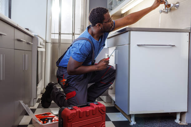 Best Toilet Repair Services  in Farmville, VA